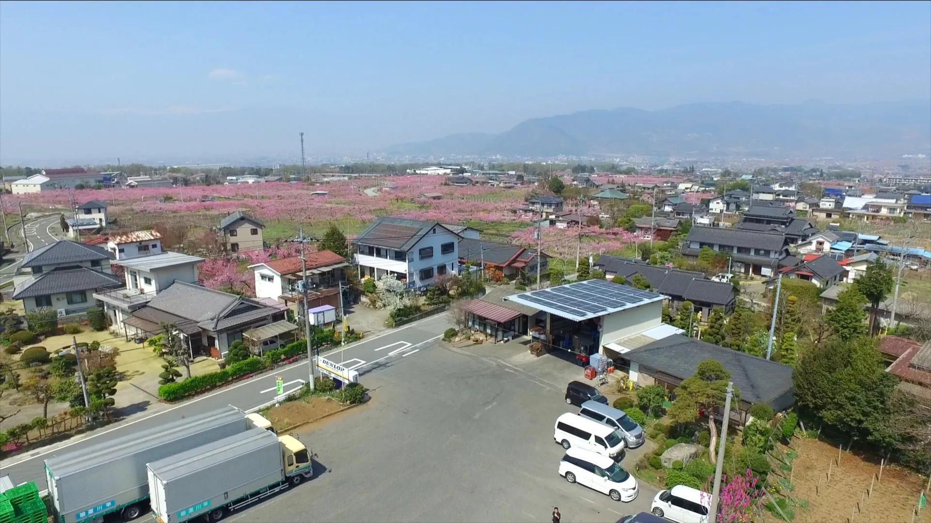 有限会社早川運輸